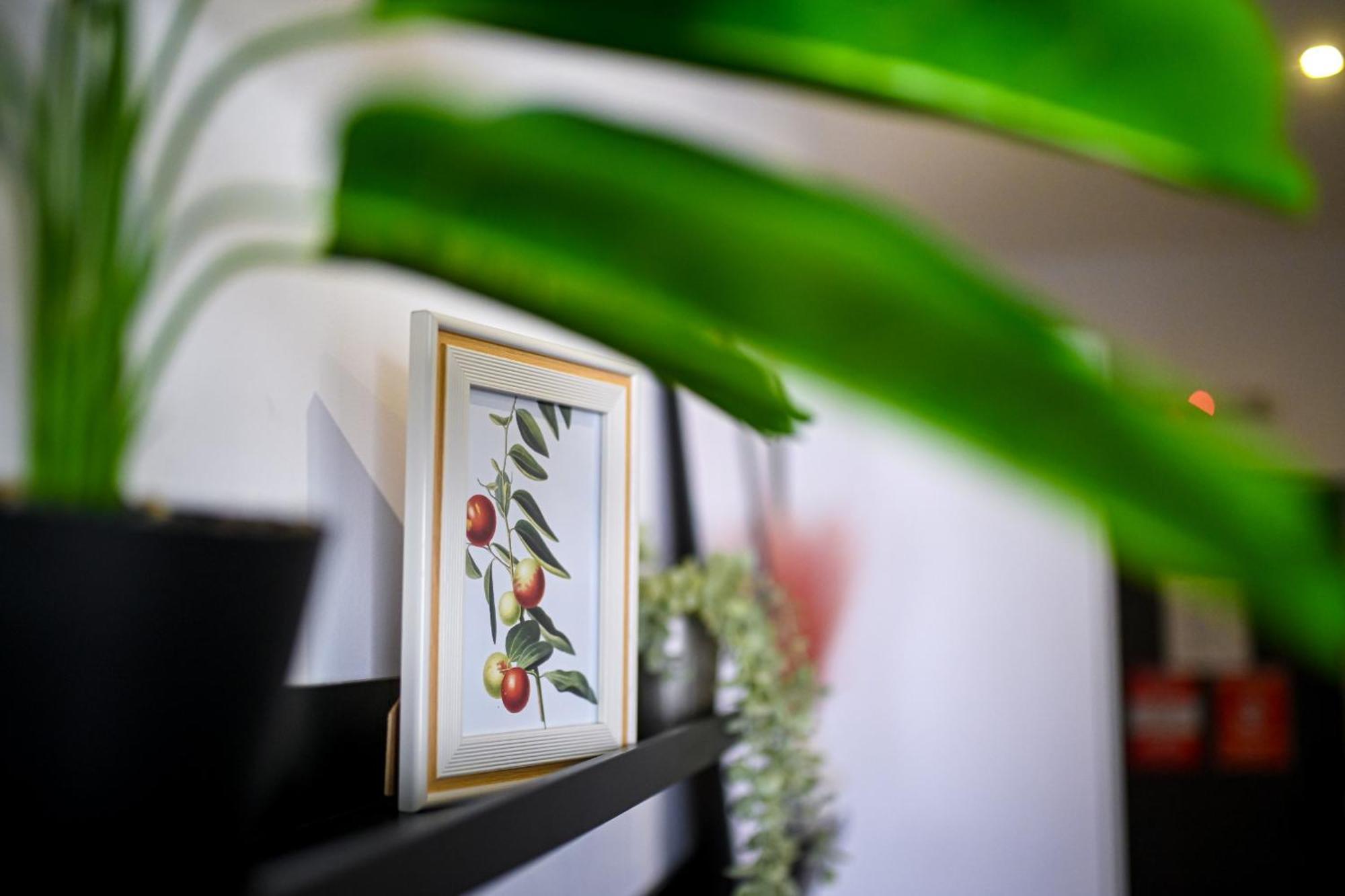 Urban Elegance - Stylish Central Accommodation Βουκουρέστι Δωμάτιο φωτογραφία